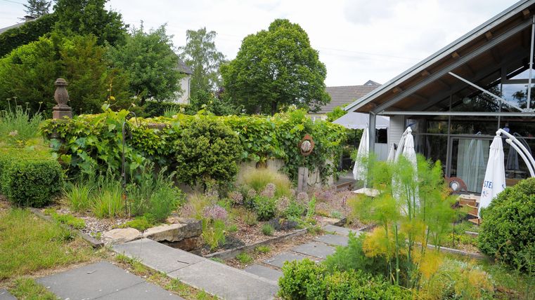 A well-maintained garden with various plants and a stone path. In the background, a modern building can be seen.