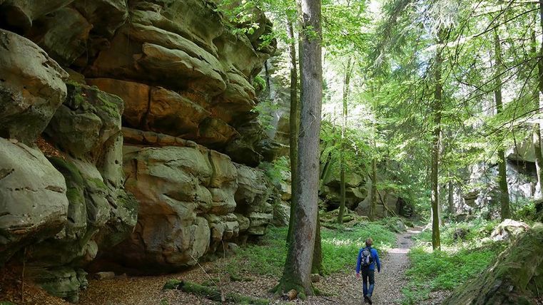 Ein Wanderer geht auf einem schmalen Pfad durch einen Wald mit hohen Bäumen und beeindruckenden Felsformationen. Die Umgebung ist grün und einladend, ideal für Outdoor-Aktivitäten.