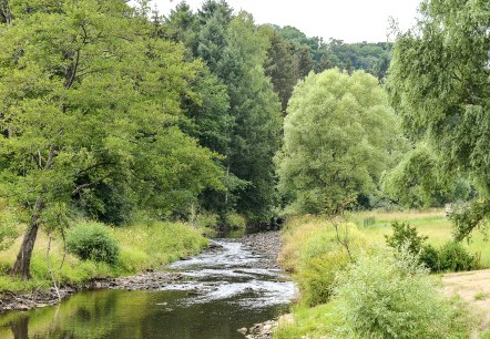 Een kleine rivier kronkelt door een groen landschap van bomen en weiden. De lucht is bewolkt en het water weerspiegelt het omringende groen., &copy; TI Bitburger Land
