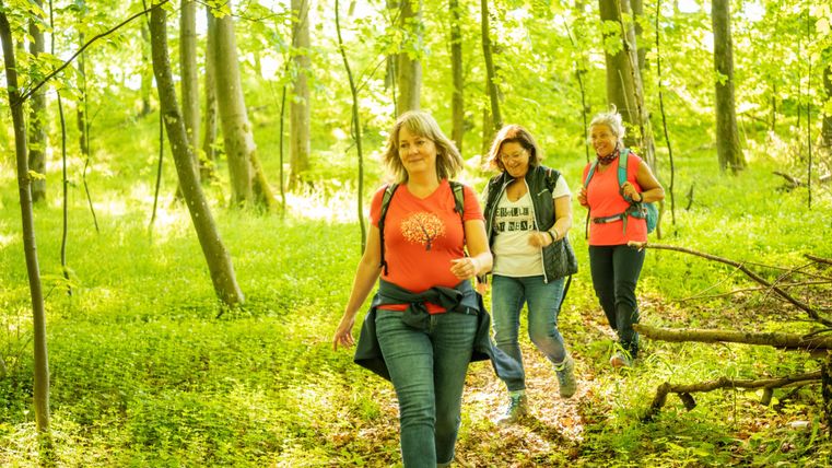 Un groupe de randonneurs marche sur un chemin rocailleux. Les environs sont verts et entourés d'arbres.