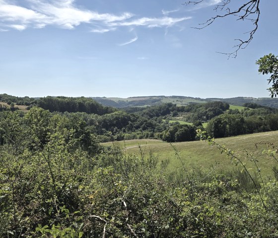 20250817_123559_resized, &copy; Tourist-Information Islek