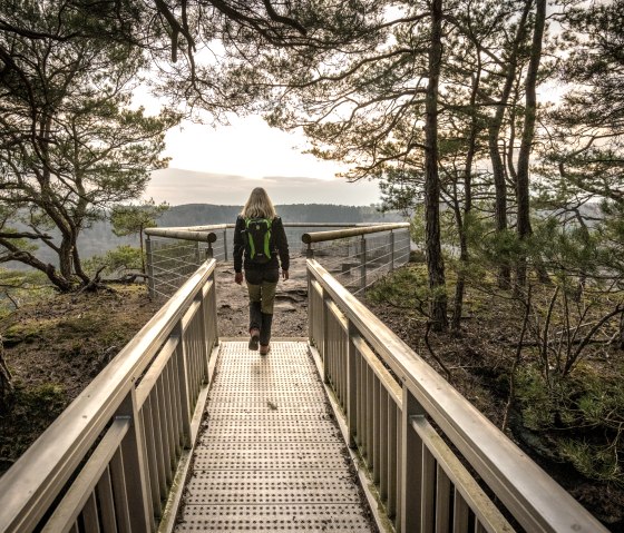 Encadré par les arbres au point de vue de Gaisley, © Eifel Tourismus GmbH, D. Ketz