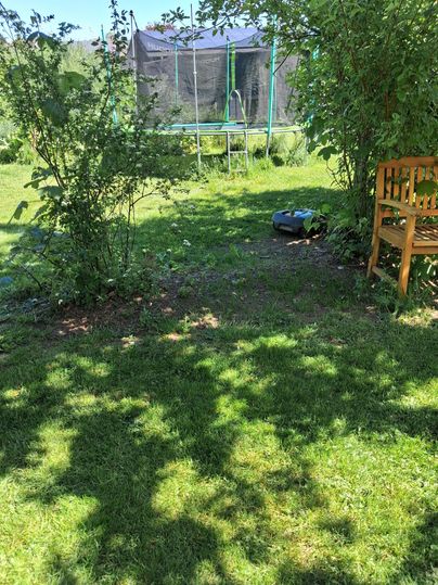 Un beau jardin avec de l'herbe verte et un trampoline en arrière-plan. Au premier plan, on peut voir quelques buissons et un banc en bois.