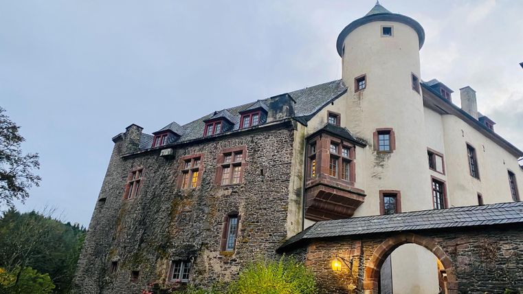 Eine beeindruckende Burg mit einem hohen Turm und zahlreichen Fenstern. Umgeben von Bäumen und buntem Laub in einer malerischen Landschaft.
