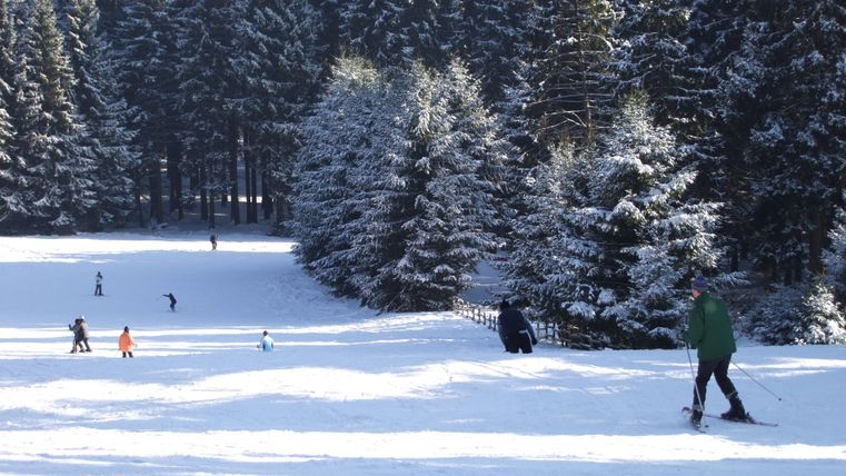 Un paysage enneigé avec des personnes qui font du ski. En arrière-plan, on voit des arbres verts denses.