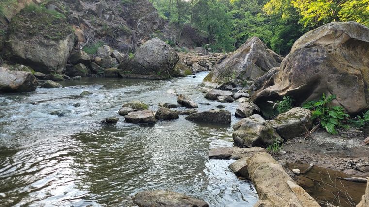 Ein ruhiger Fluss mit großen Steinen und grüner Ufervegetation. Die Sonne scheint durch die Bäume und spiegelt sich im Wasser.