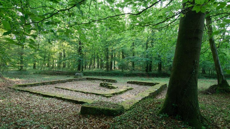 Een oude ruïne in een groene bos, omringd door bomen. De grond is bedekt met bladeren en de structuur is gedeeltelijk bedekt met mos.
