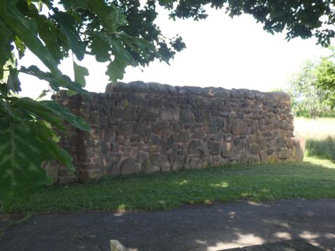 An old stone wall surrounded by trees and grass. The sun is shining on the wall, which is outdoors.