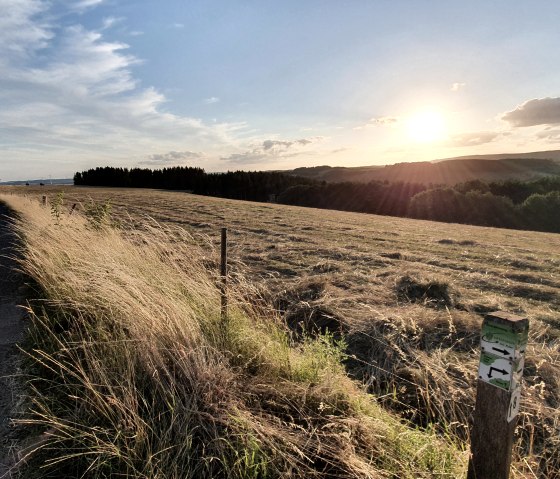 Sentier de randonn&eacute;e &agrave; travers la vall&eacute;e du Mehlenbach, &copy; Tourist-Information Pr&uuml;mer Land Sebastian Wiesen