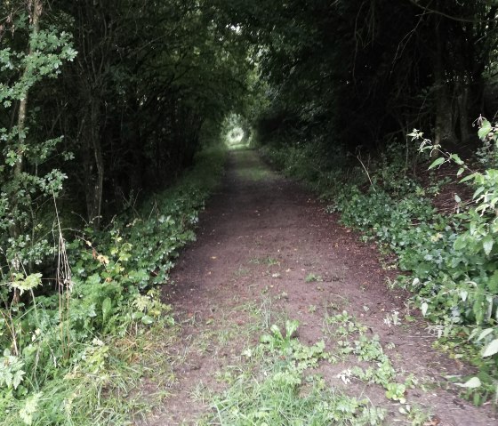 Welschbillig, &copy; Deutsch-Luxemburgische Tourist-Information