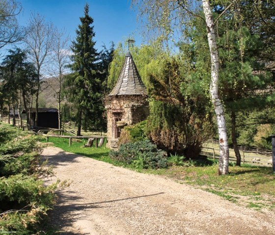 Zoo02, &copy; Eifel-Zoo, Wallpott