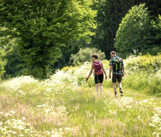 Nat'Our Route 1, wandelen door bloeiende weiden, © Eifel Tourismus GmbH, Dominik Ketz