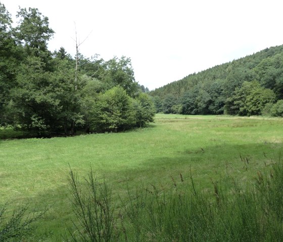 Bachwiese an der Irsen, &copy; Tourist-Information Islek