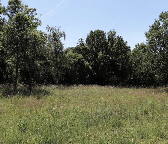 Irsental, &copy; Tourist-Information Islek