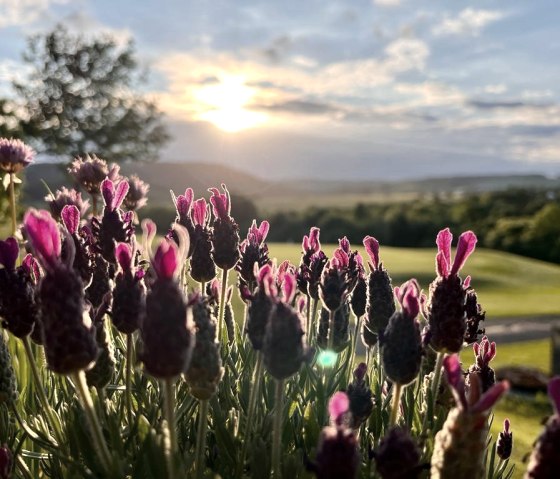 Golf Resort Bitburger Land, &copy; Roman Graf - Golf Resort Bitburger Land