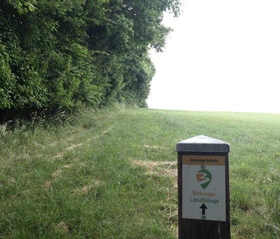 Ein Wegweiser der Bitburger LandG&auml;nge steht auf einer gr&uuml;nen Wiese neben einem Waldst&uuml;ck., &copy; TI Bitburger Land
