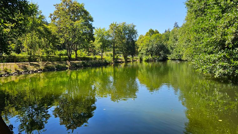 Ein ruhiger See umgeben von üppigem Grün und Bäumen. Der klare Himmel reflektiert sich sanft im Wasser.