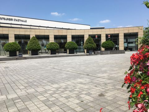 A modern building with large windows and evenly spaced trees. In the foreground, colorful plants are blooming on a paved square.
