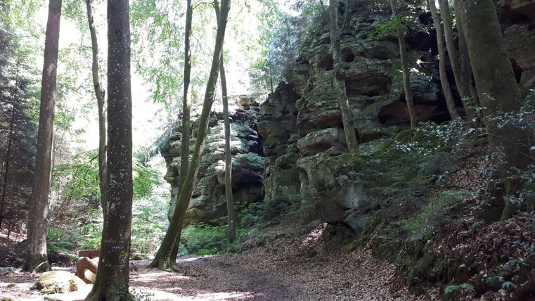 Ein ruhiger Waldweg, umgeben von hohen Bäumen und beeindruckenden Felsen. Sonnenlicht fällt sanft durch das Blätterdach.