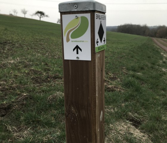 Orenhofen 9 verl&auml;uft auf dem Premiumweg des NaturWanderPark delux, &copy; TI Bitburger Land