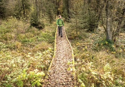 Passerelle sur le sentier des marais Schneifel, © Eifel Tourismus GmbH, Dominik Ketz