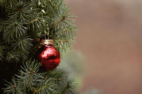 Un ornement de Noël rouge est suspendu à une branche de sapin verte. L'atmosphère est festive et de Noël.