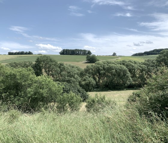 Des champs et des arbres verts s'&eacute;tendent sous un ciel bleu avec peu de nuages. Un paysage rural et calme., &copy; Benjamin Milbach