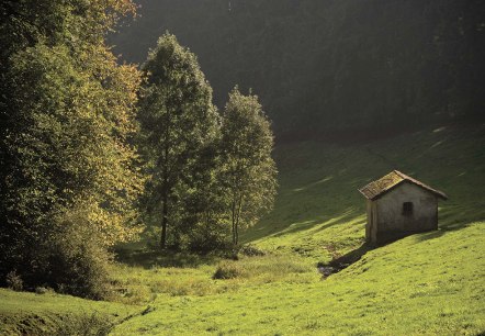 Kleine Hütte auf grüner Wiese im Kammerwald, umgeben von Bäumen im Sonnenlicht. Malerische Landschaft., © Naturpark Südeifel, P. Haas