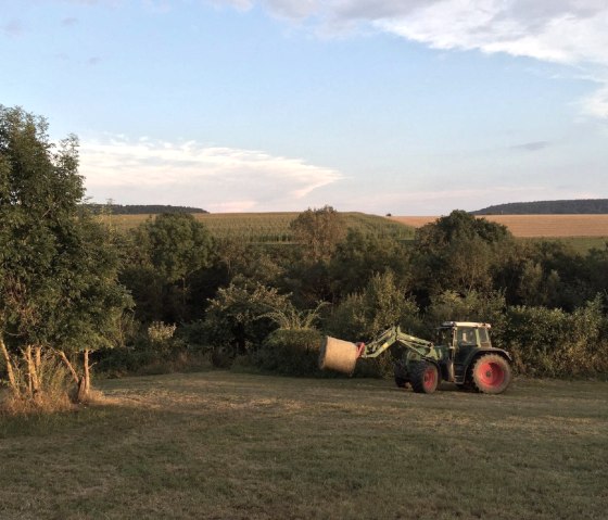 Erntezeit - Spätsommer