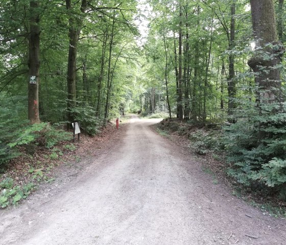 zemmer_1, &copy; Deutsch Luxemburgische Tourist Info