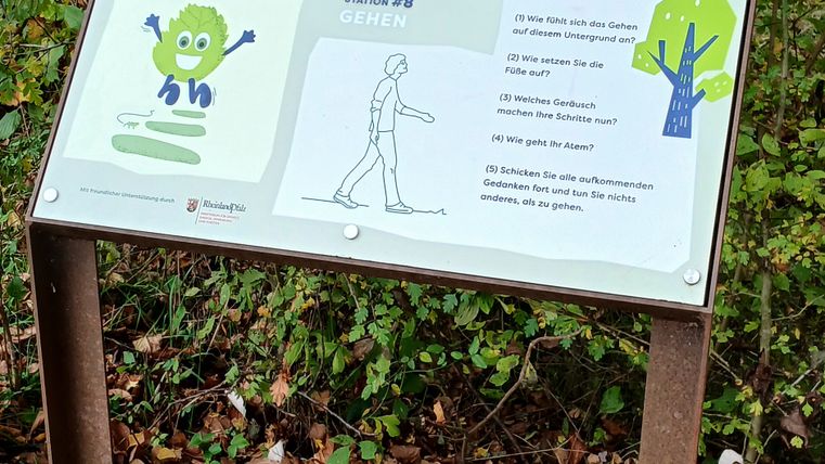 Een bord in het bos geeft informatie over de Irrel Mindfulness Trail in het natuurpark Zuid-Eifel. Het toont een kaart en instructies voor een wandeloefening.