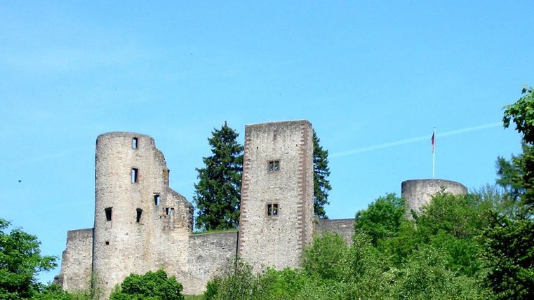 A medieval castle surrounded by green forest. The sky is clear and blue.