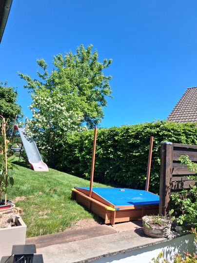 Un jardin ensoleillé avec un toboggan et une estrade de jeu bleue. À l'arrière-plan, un arbre vert se dresse et le ciel est bleu.