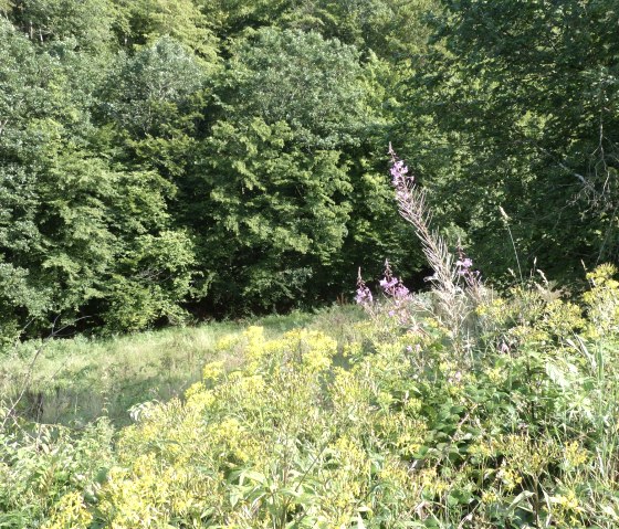 Planten aan de kant, &copy; Tourist-Information Islek