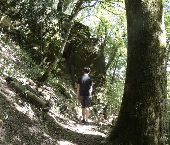 Eine Person wandert auf einem schattigen Waldweg entlang einer moosbewachsenen Felswand. Sonnenlicht f&auml;llt durch die B&auml;ume., &copy; TI Bitburger Land