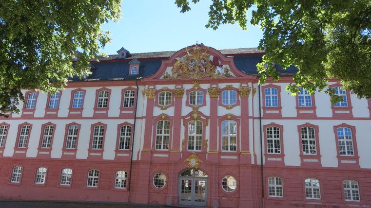 Une magnifique façade historique d'un bâtiment en rose avec des ornements dorés. Le ciel est clair et les arbres offrent de l'ombre.