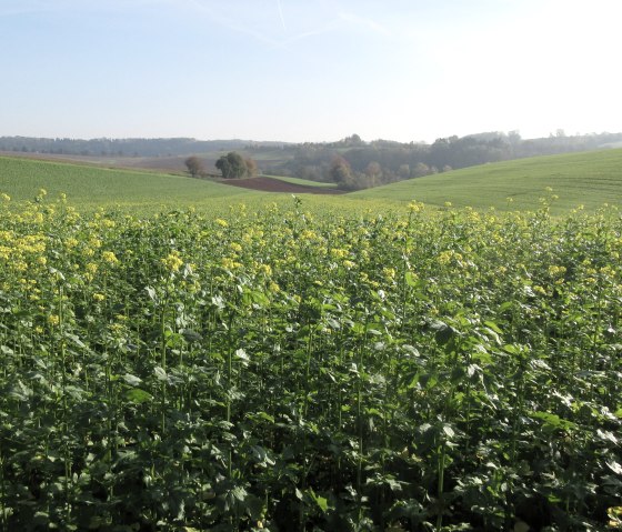 img_8424_1, &copy; N. Mainz