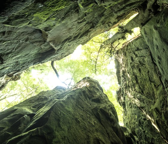 Vue vers le haut dans la Gorge du Diable : Des rochers et des arbres verts se dressent vers le ciel, la lumi&egrave;re du soleil passe &agrave; travers les feuilles., &copy; Felsenland S&uuml;deifel Tourismus GmbH