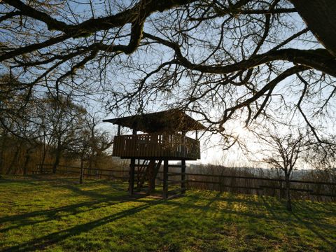 Une affût se dresse dans le paysage, entourée d'arbres et de prairies. Le soleil brille et projette de longues ombres.
