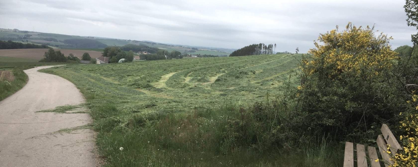 img_8143, &copy; Manuel Norta, Ammeldingen