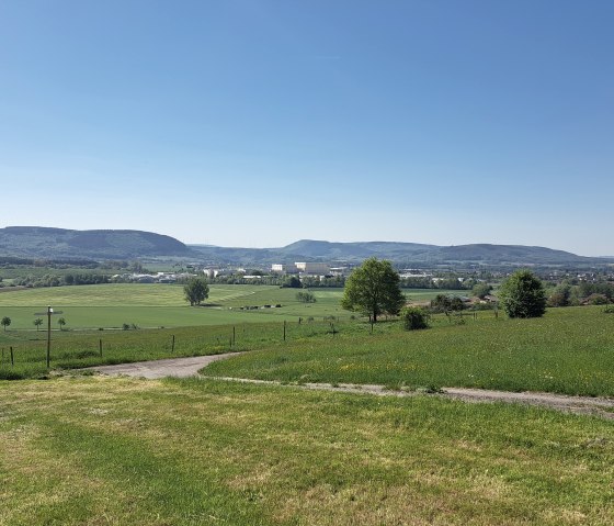 20250501_110704, &copy; Tourist-Info Wittlich Stadt&Land