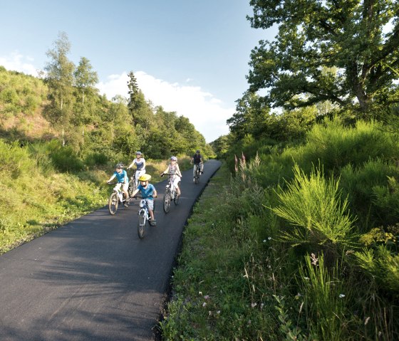 Une famille avec des enfants roule sur une piste cyclable asphalt&eacute;e &agrave; travers un paysage vert et ensoleill&eacute;. Id&eacute;al pour des balades &agrave; v&eacute;lo d&eacute;contract&eacute;es., &copy; vennbahn.eu