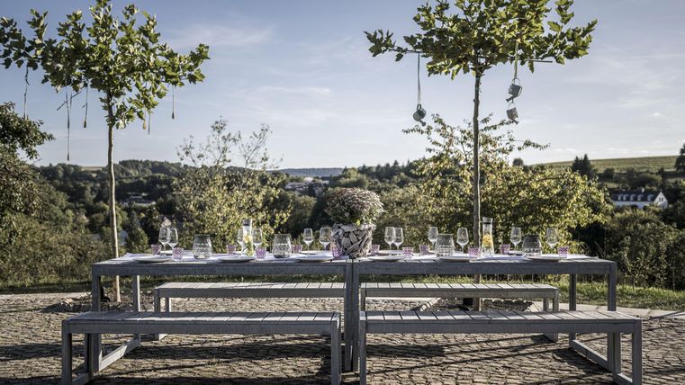 A nicely set table outdoors, surrounded by trees and a peaceful landscape. The atmosphere is relaxing and inviting.