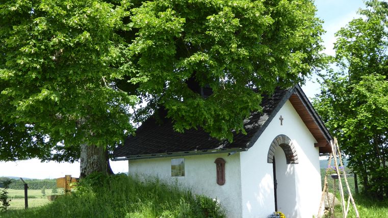 A small, white chapel stands under a large tree. The surroundings are green and rural, with a clear sky in the background.