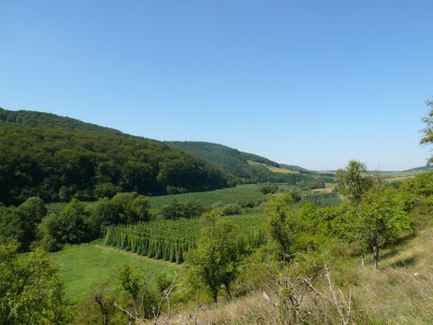 A picturesque landscape with gentle hills and lush meadows. The clear blue sky gives the scene an inviting atmosphere.