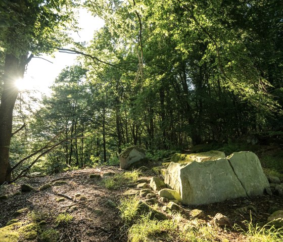 Steinkistengrab im Wald bei Schankweiler, &copy; Eifel Tourismus GmbH, D. Ketz