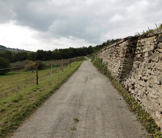 Egel 5, &copy; Nicole Zimmer