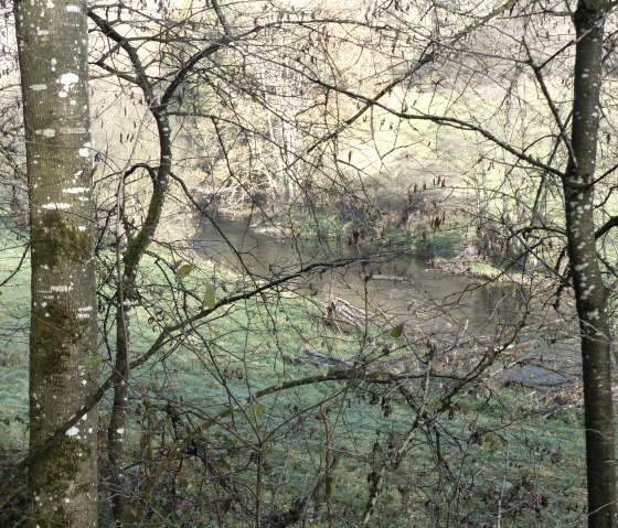 La rivi&egrave;re Pr&uuml;m pr&egrave;s de Waxweiler, &copy; Tourist-Information Islek