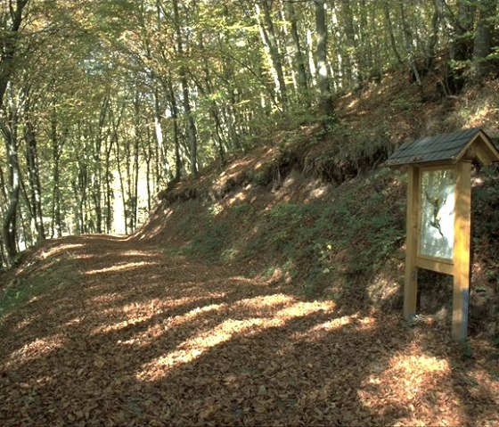 Un chemin forestier couvert de feuilles d'automne et bord&eacute; d'arbres. A droite, un panneau d'information en bois., &copy; TI Bitburger Land