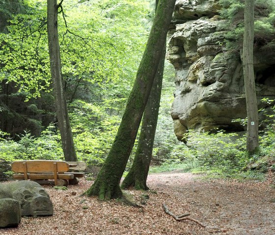 Ein Waldweg mit einer Holzbank und einer gro&szlig;en Felsformation im Hintergrund. Der Boden ist mit Laub bedeckt, umgeben von hohen B&auml;umen., &copy; Volker Teuschler